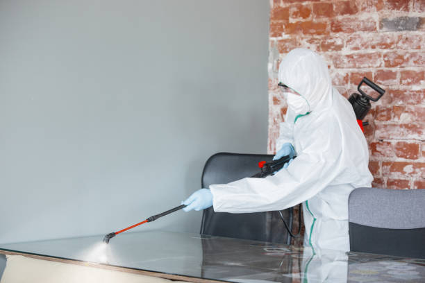 Rancho Viejo, TX Mold Removal Services Company